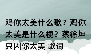 鸡你太美什么歌？鸡你太美是什么梗？蔡徐坤只因你太美 歌词