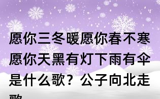 愿你三冬暖愿你春不寒愿你天黑有灯下雨有伞是什么歌?公子向北走歌词