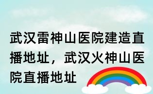武汉雷神山医院建造直播地址,武汉火神山医院直播地址