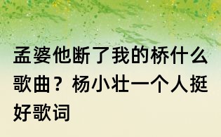孟婆他断了我的桥什么歌曲?杨小壮一个人挺好歌词