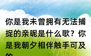你是我未曾拥有无法捕捉的亲昵是什么歌?你是我朝夕相伴触手可及的虚拟什么歌?陈粒虚拟歌词