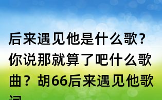 后来遇见他是什么歌?你说那就算了吧什么歌曲?胡66后来遇见他歌词