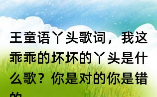 王童语丫头歌词，我这乖乖的坏坏的丫头是什么歌？你是对的你是错的 反正规矩都是你定的什么歌？