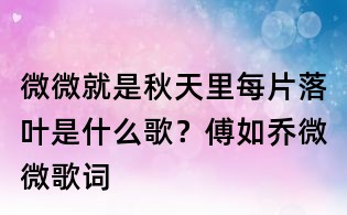 微微就是秋天里每片落叶是什么歌？傅如乔微微歌词