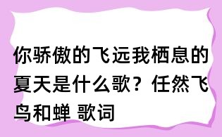 你骄傲的飞远我栖息的夏天是什么歌?任然飞鸟和蝉 歌词