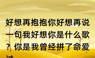 好想再抱抱你好想再说一句我好想你是什么歌？你是我曾经拼了命爱过的人歌词