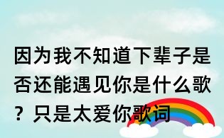 因为我不知道下辈子是否还能遇见你是什么歌?只是太爱你歌词