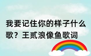 我要记住你的样子什么歌？王贰浪像鱼歌词