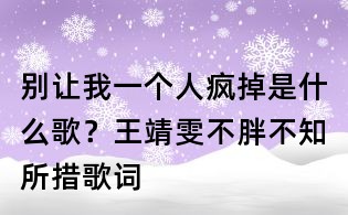 别让我一个人疯掉是什么歌?王靖雯不胖不知所措歌词