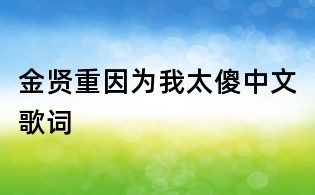 金贤重因为我太傻中文歌词