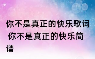 你不是真正的快乐歌词 你不是真正的快乐简谱