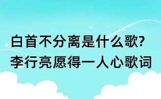 白首不分离是什么歌?李行亮愿得一人心歌词