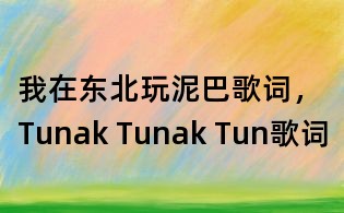 我在东北玩泥巴歌词,Tunak Tunak Tun歌词