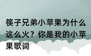筷子兄弟小苹果为什么这么火?你是我的小苹果歌词