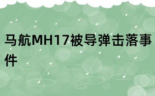 马航MH17被导弹击落事件