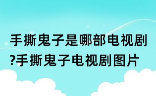 手撕鬼子是哪部电视剧?手撕鬼子电视剧图片