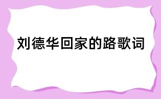 刘德华回家的路歌词