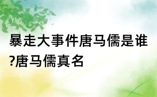 暴走大事件唐马儒是谁?唐马儒真名