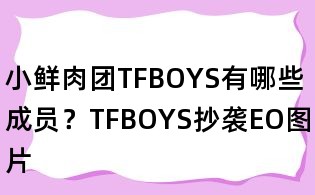 小鲜肉团TFBOYS有哪些成员?TFBOYS抄袭EO图片
