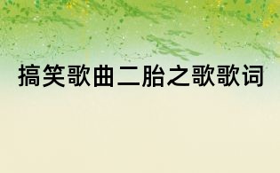 搞笑歌曲二胎之歌歌词