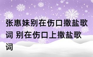 张惠妹别在伤口撒盐歌词 别在伤口上撒盐歌词