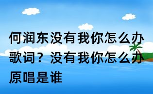 何润东没有我你怎么办歌词？没有我你怎么办原唱是谁