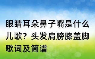 眼睛耳朵鼻子嘴是什么儿歌?头发肩膀膝盖脚歌词及简谱