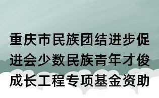 重庆市民族团结进步促进会少数民族青年才俊成长工程专项基金资助申请表