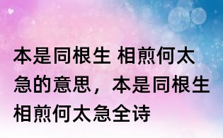 本是同根生 相煎何太急的意思,本是同根生相煎何太急全诗