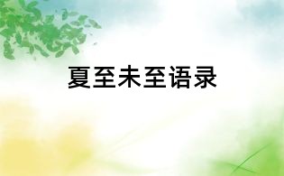 夏至未至语录