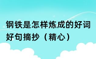 钢铁是怎样炼成的好词好句摘抄(精心)