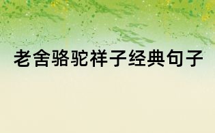 老舍骆驼祥子经典句子