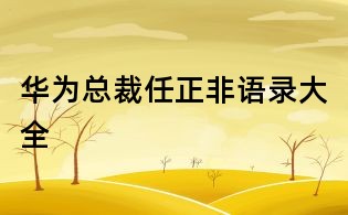 华为总裁任正非语录大全