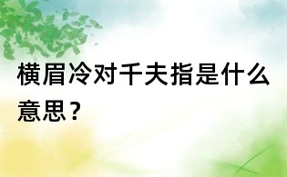横眉冷对千夫指是什么意思?