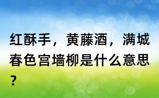 红酥手,黄藤酒,满城春色宫墙柳是什么意思?
