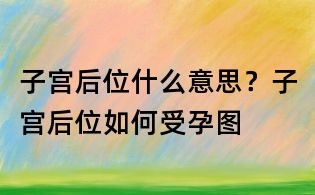 子宫后位什么意思?子宫后位如何受孕图