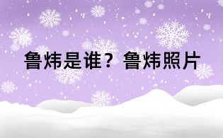 鲁炜是谁?鲁炜照片
