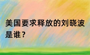 美国要求释放的刘晓波是谁?