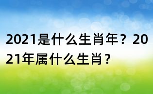 2021是什么生肖年?2021年属什么生肖?