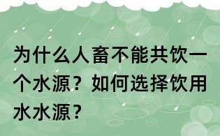 为什么人畜不能共饮一个水源？如何选择饮用水水源？