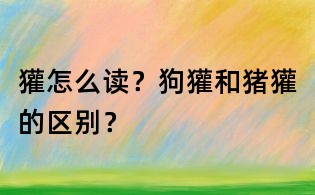 獾怎么读？狗獾和猪獾的区别？