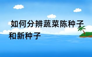 如何分辨蔬菜陈种子和新种子