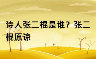 诗人张二棍是谁?张二棍原谅