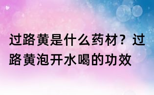 过路黄是什么药材?过路黄泡开水喝的功效