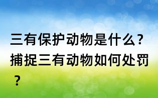 三有保护动物是什么？捕捉三有动物如何处罚 ？