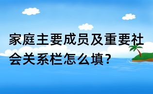 家庭主要成员及重要社会关系栏怎么填?