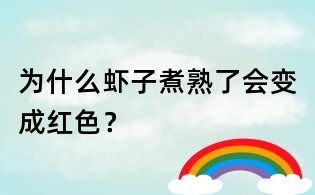 为什么虾子煮熟了会变成红色?