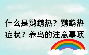 什么是鹦鹉热？鹦鹉热症状？养鸟的注意事项