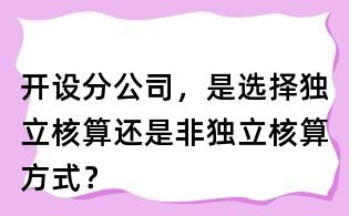 开设分公司,是选择独立核算还是非独立核算方式?