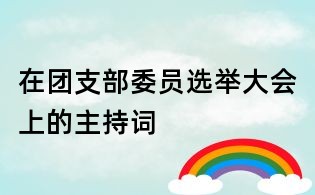 在团支部委员选举大会上的主持词